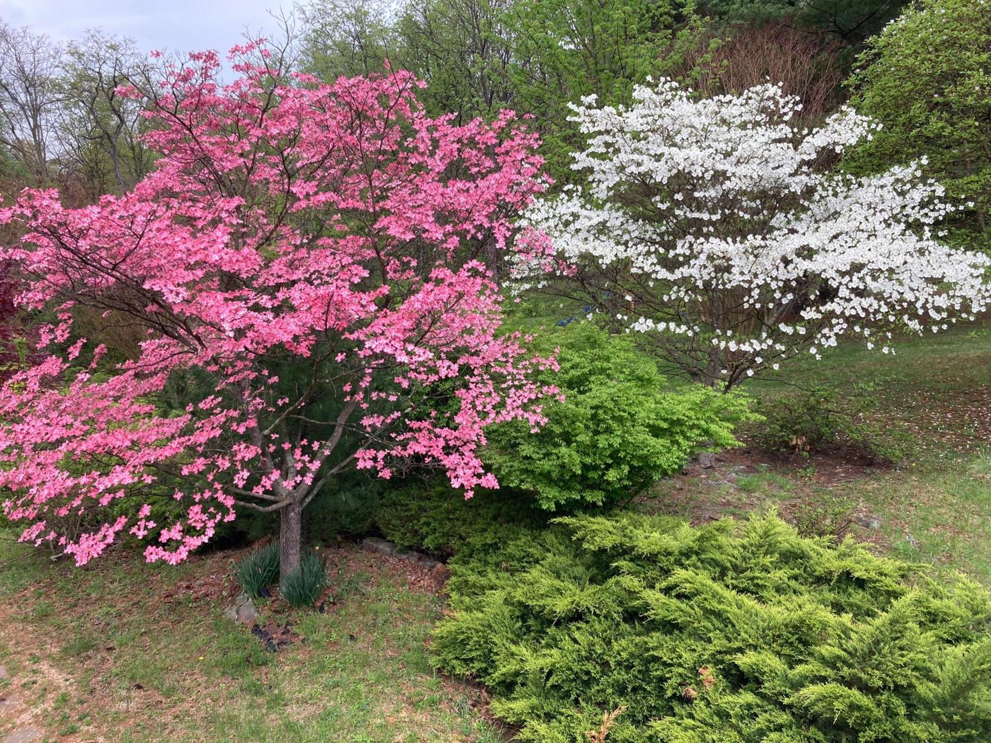 Purcellville Home 外观 照片