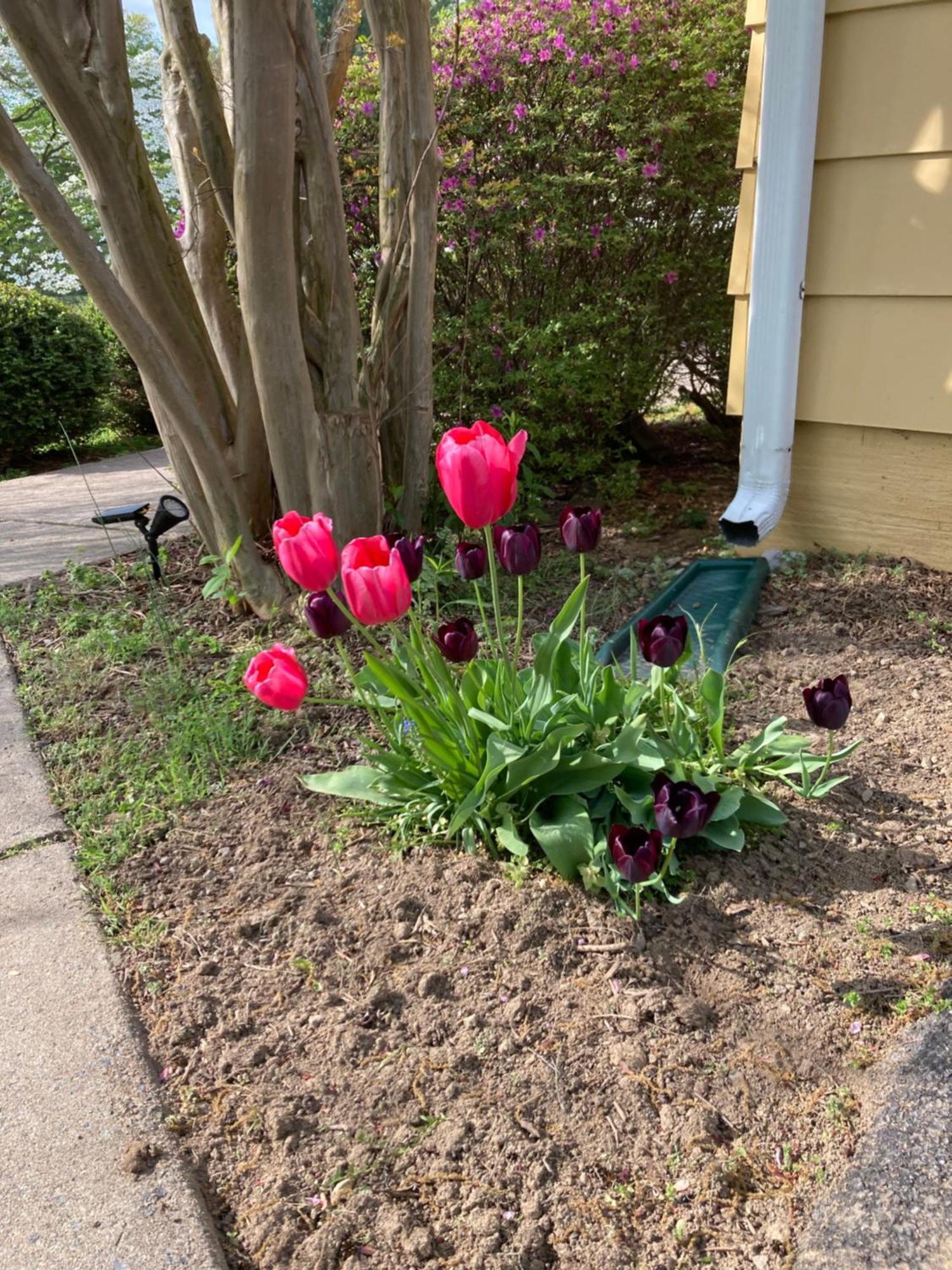 Purcellville Home 外观 照片