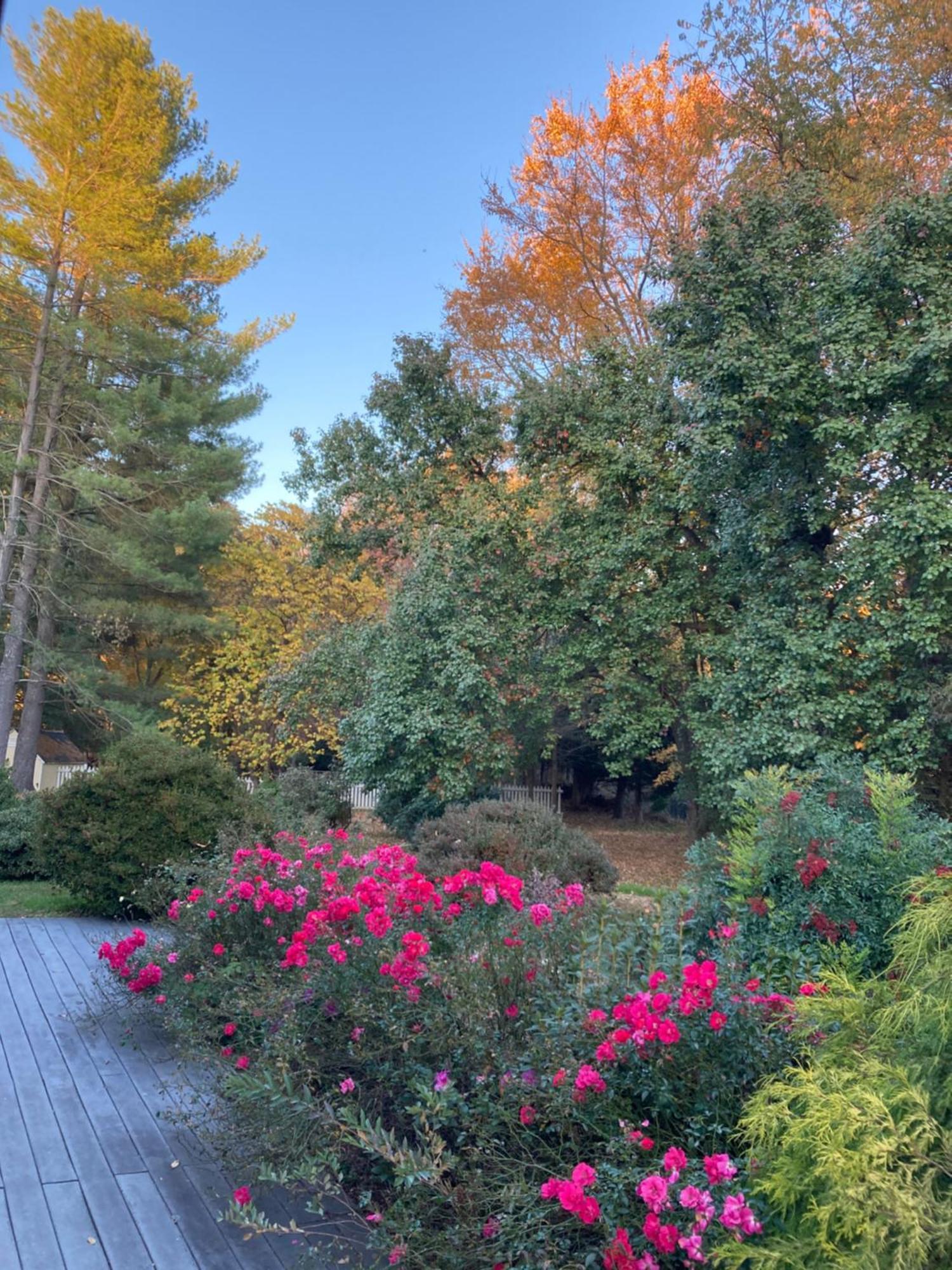 Purcellville Home 外观 照片